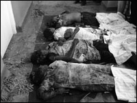 Documentary evidence 2 from Nedunkerni Ambulance Claymore Attack